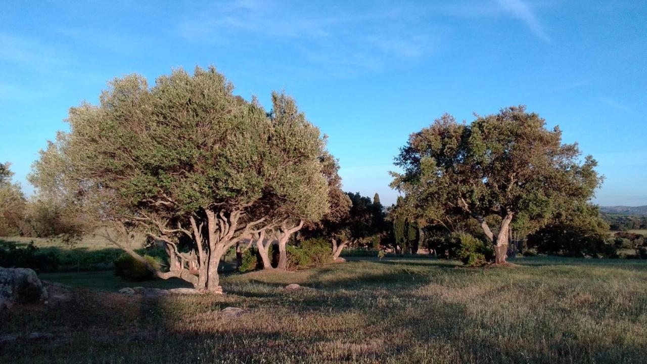 B&B Andrieddu Telti Εξωτερικό φωτογραφία